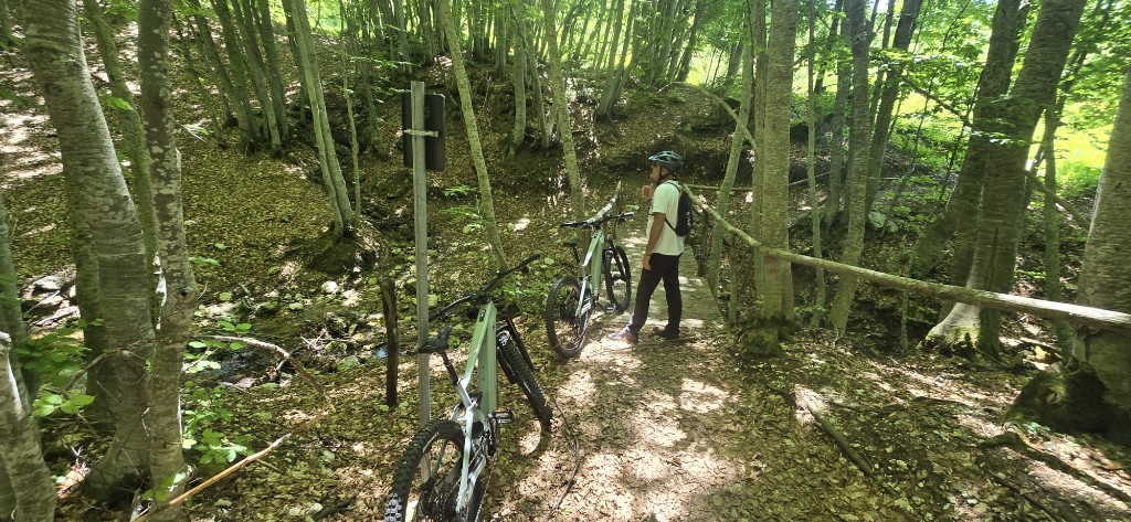 Sentieri nel bosco: Tour guidati tra faggi e torrenti vicino a Sulmona